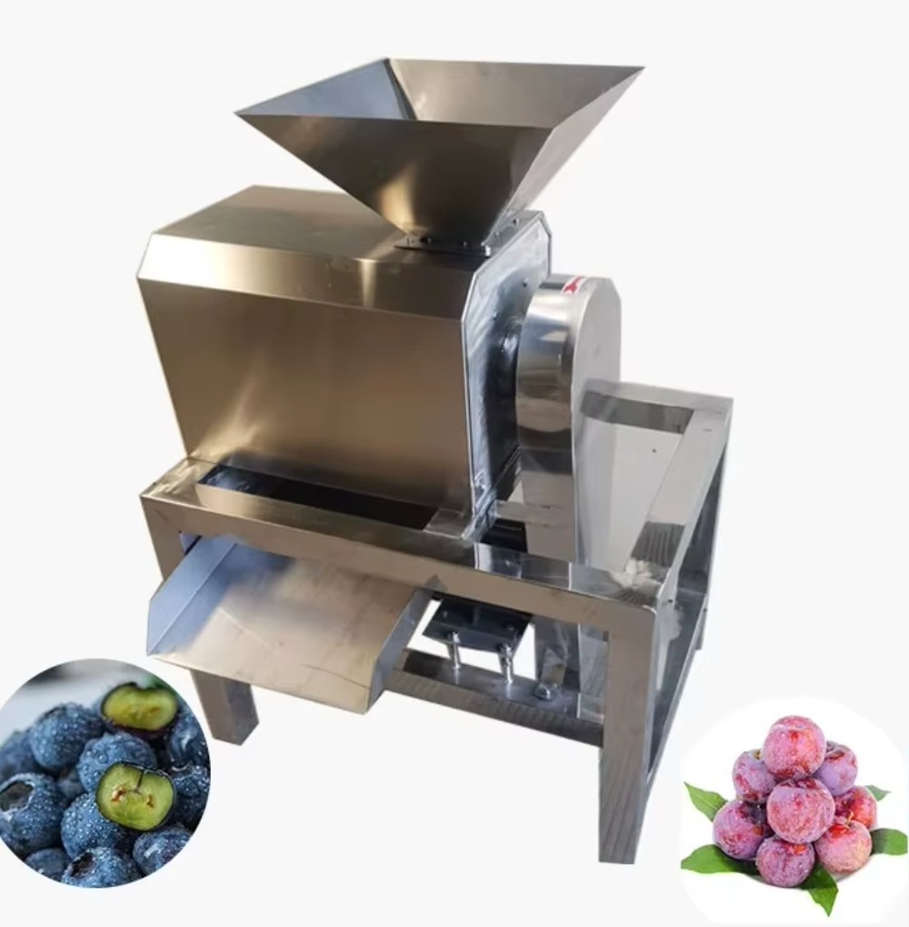 Juicer Industrial Commercial E - Juice Extractor Commercial ulasan dan harga