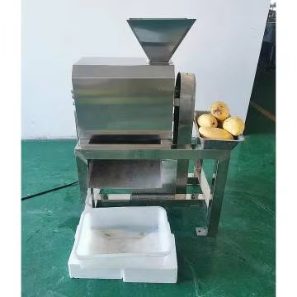 Juicer Industrial Commercial E - Juice Extractor Commercial ulasan dan harga